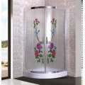 Patterned Glass Shower Enclosure (ADL-8048)